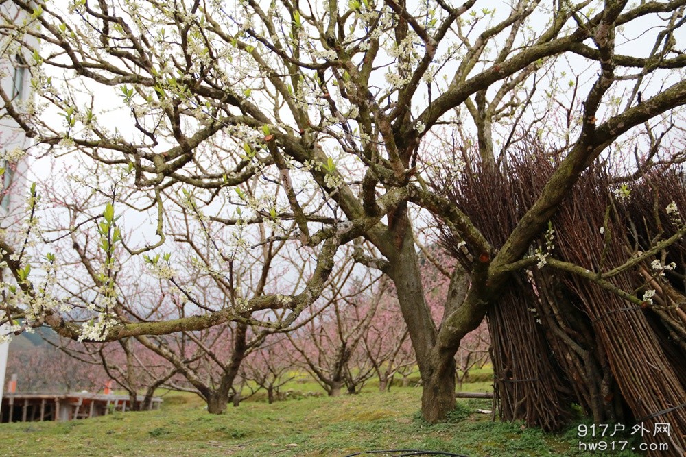 喜欢这赶脚～～
