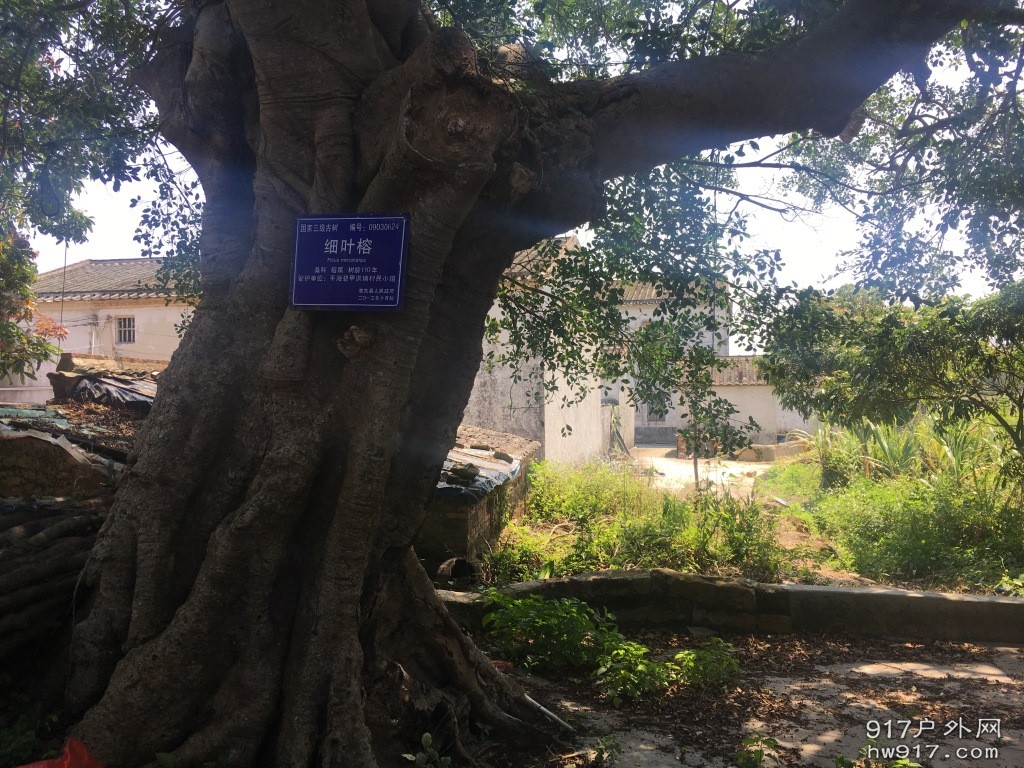 迷途中我们也能欣赏不同的风景