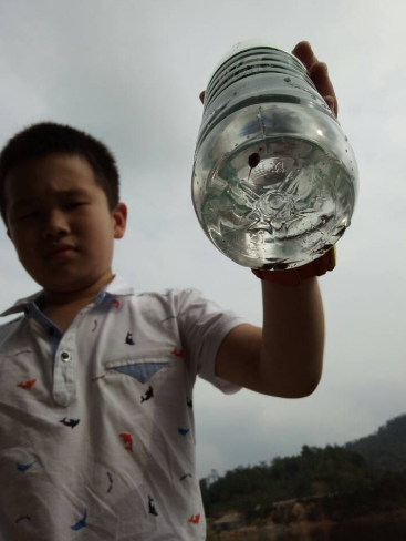 我们一起抓的小蝌蚪，最后放回去了