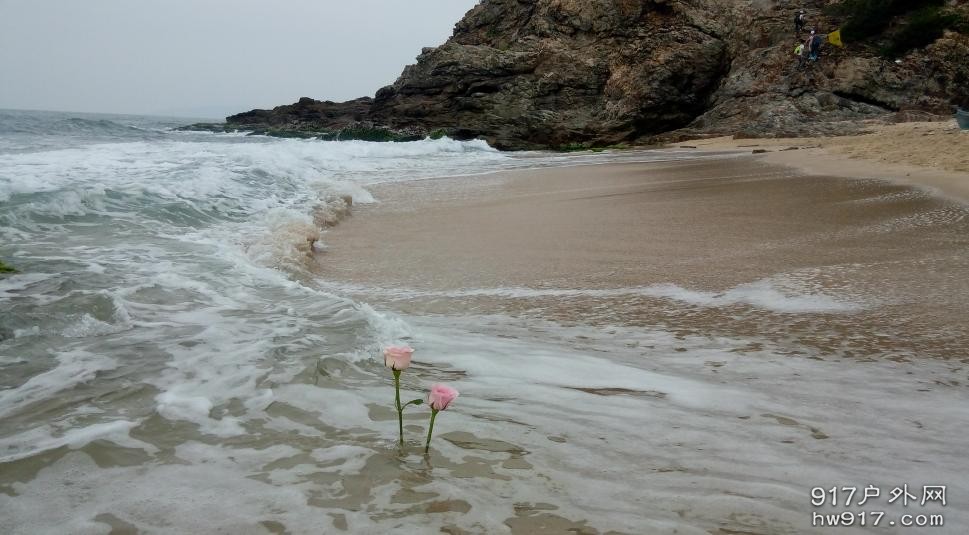 浪花有两朵.JPG