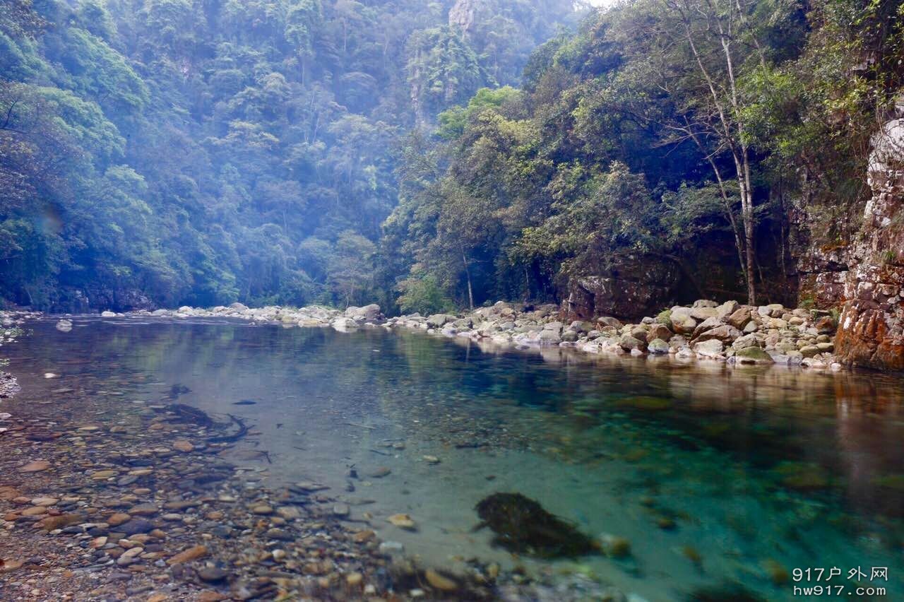 水至清则无鱼，我们真的没有捉到鱼