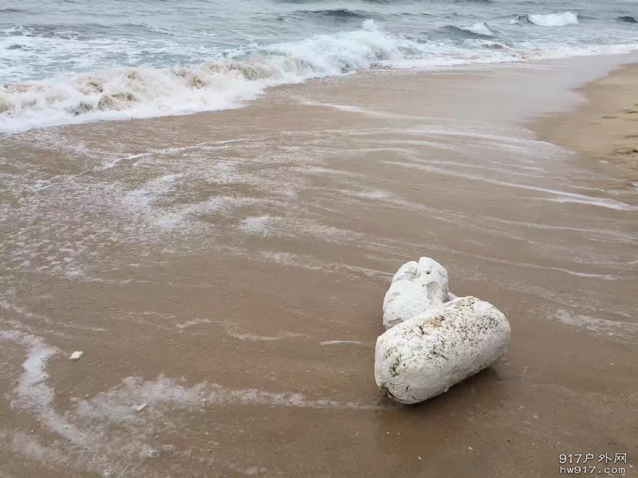 地球只有一个，爱护环境人人有责