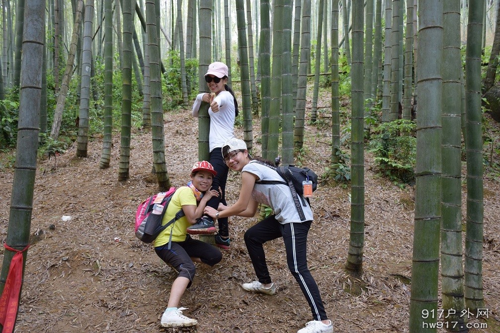 传说中的报大腿