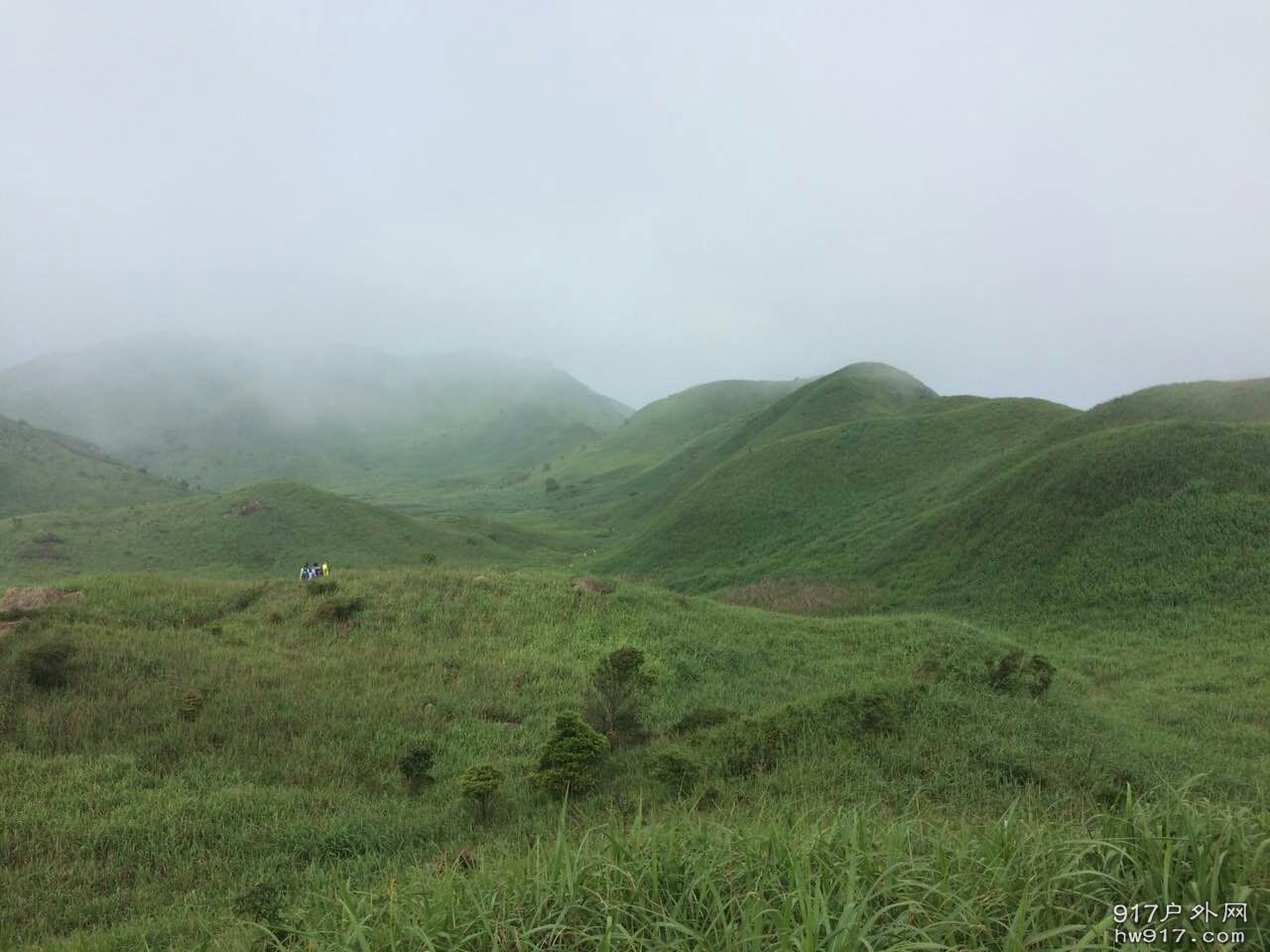 人拍摄得太小，自己想像……
