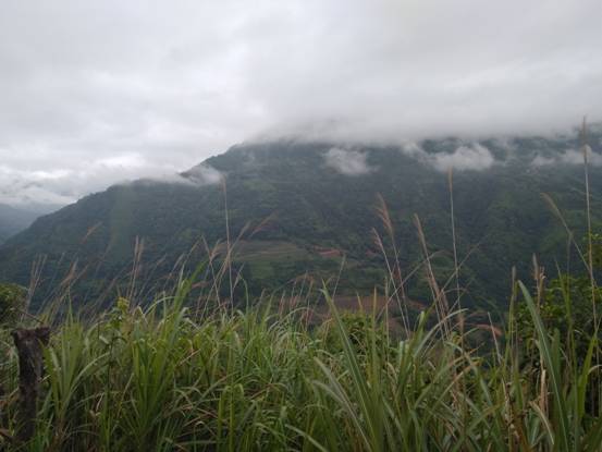 车马劳顿此处省略5千字。大家去YI YIN一下坐车上几千米弯路那种嗷嗷叫。 到达山顶后神仙般的烟雾缭绕。 ...