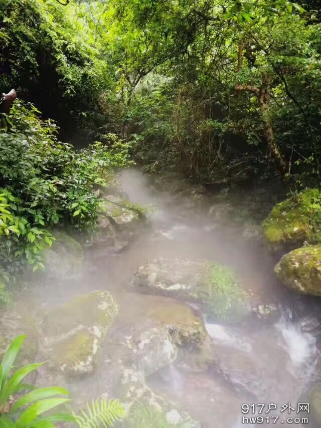 映入眼帘的这一幕，烟雾缭绕，宛如仙境