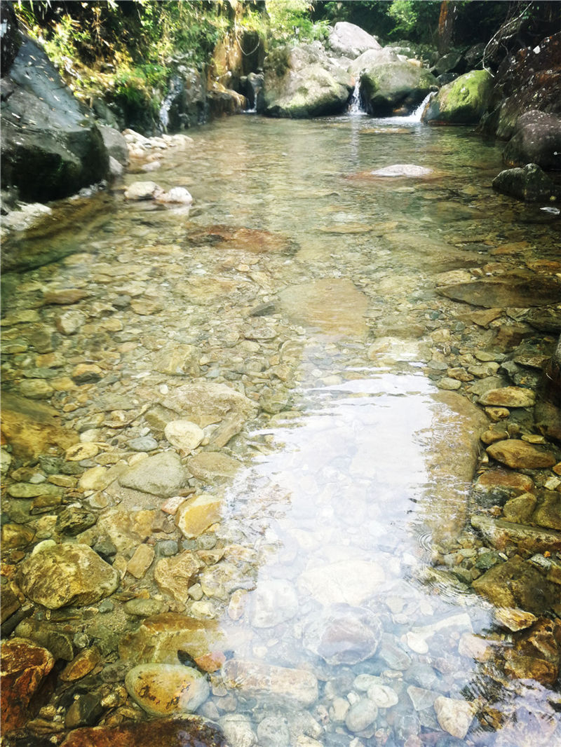 潭子美景 (6).jpg