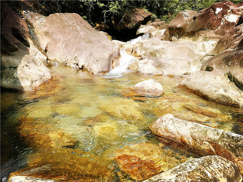 潭子美景 (7).jpg