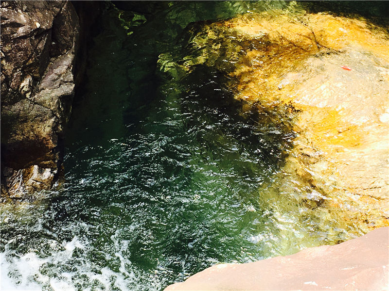 潭子美景 (9).jpg