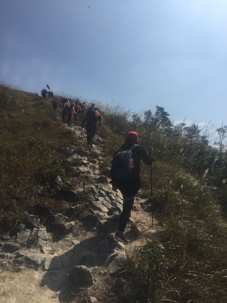 妹子，能回头笑一个吗，可走不动了