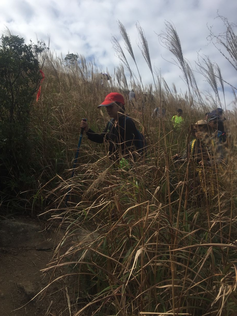 身在草丛中，妹子，你是多么的幸福