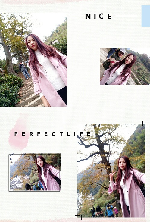 江西婺源红枫林