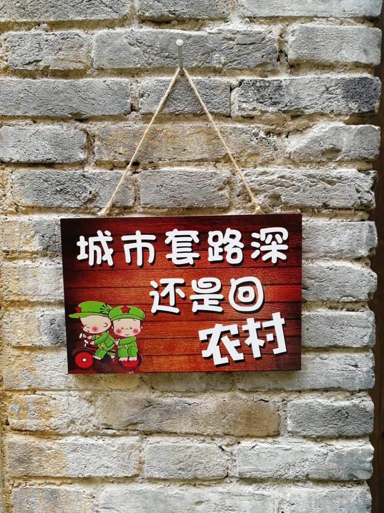 我在农村的田野，不想回城市了