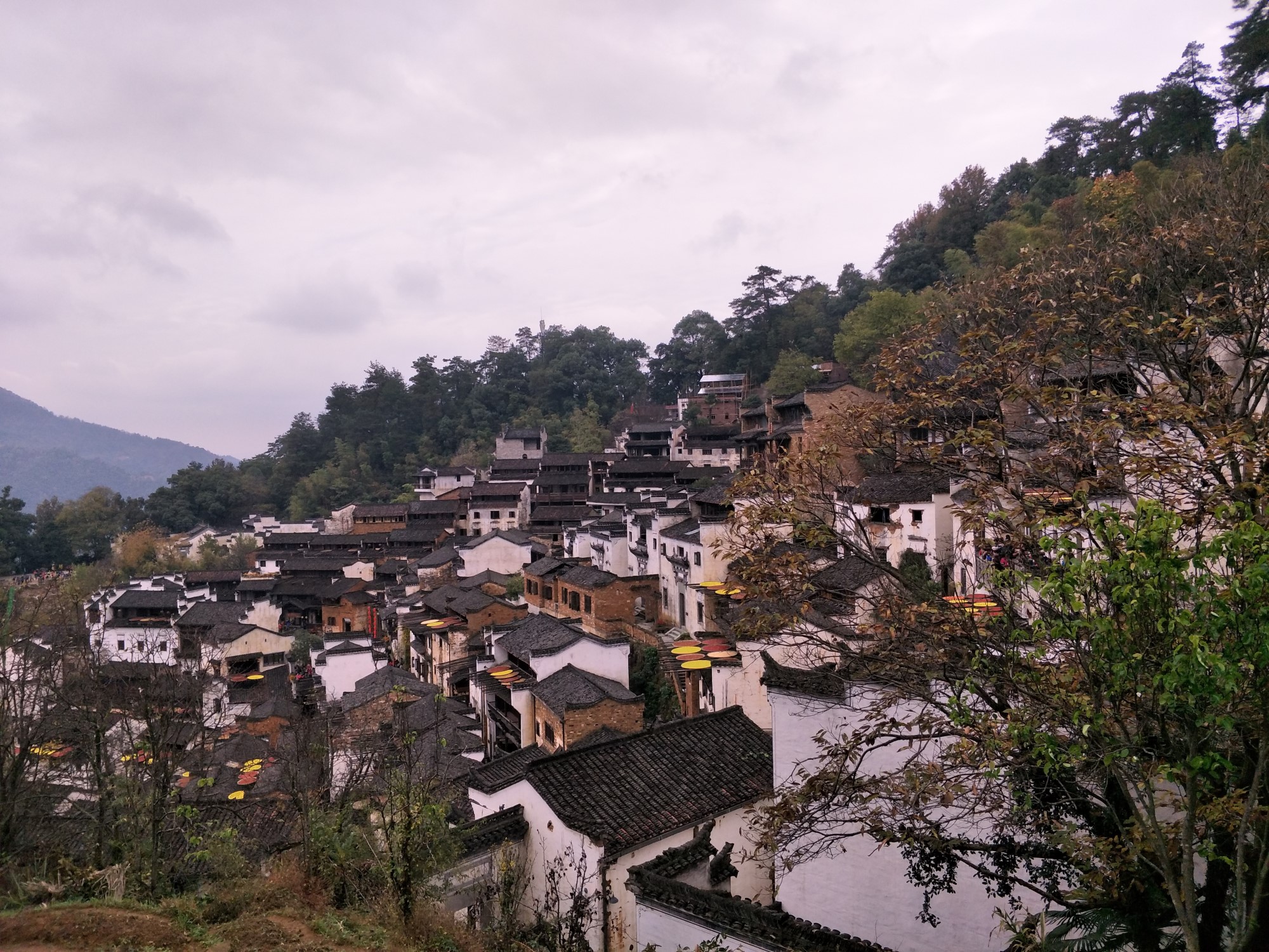 婺源IMG20171118142310.jpg