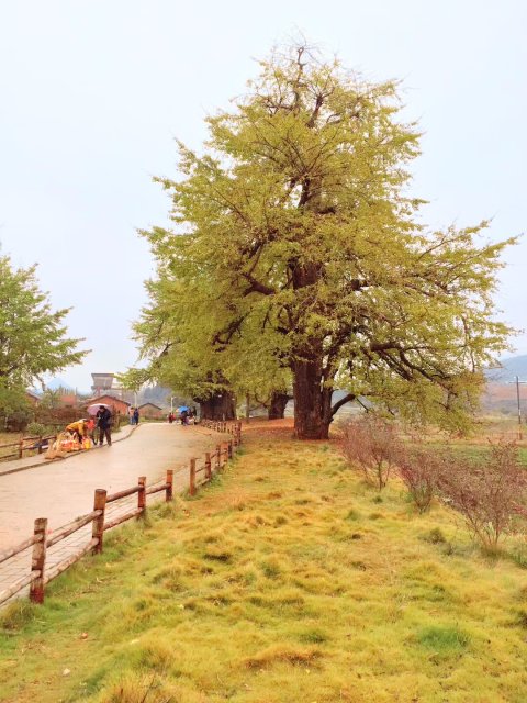 用欣赏的眼光看世界，生活处处呈鲜花美景。