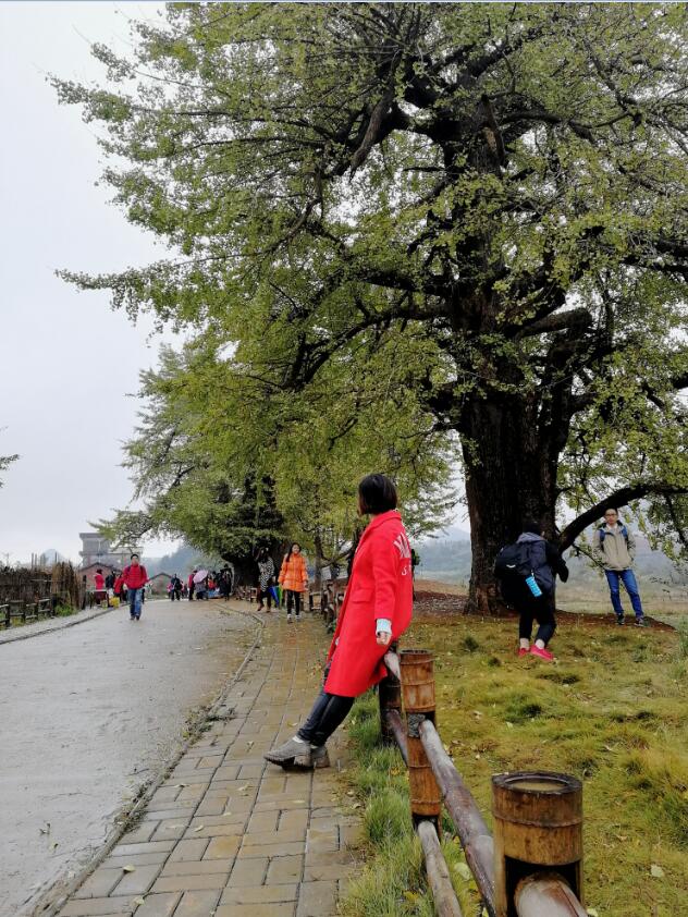 女孩子一定要经常旅行，不能做宅女。对于一个女孩子来说，见识最重要，你见的多了，自然就会视野宽广，心胸 ...