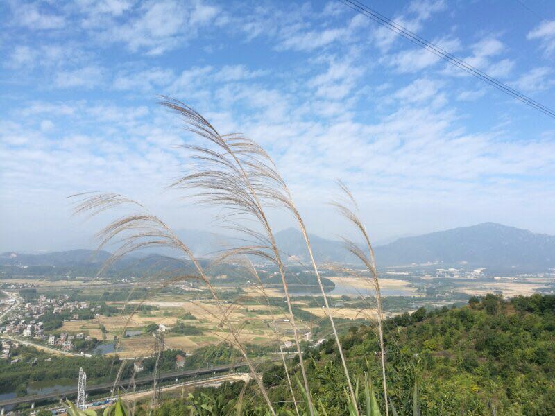 没有长枪短炮一样能拍出美丽的风景