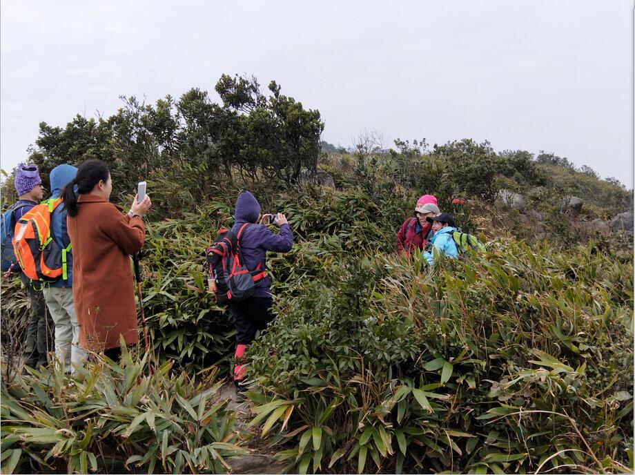 大师好幸福，都在争着帮忙拍片片