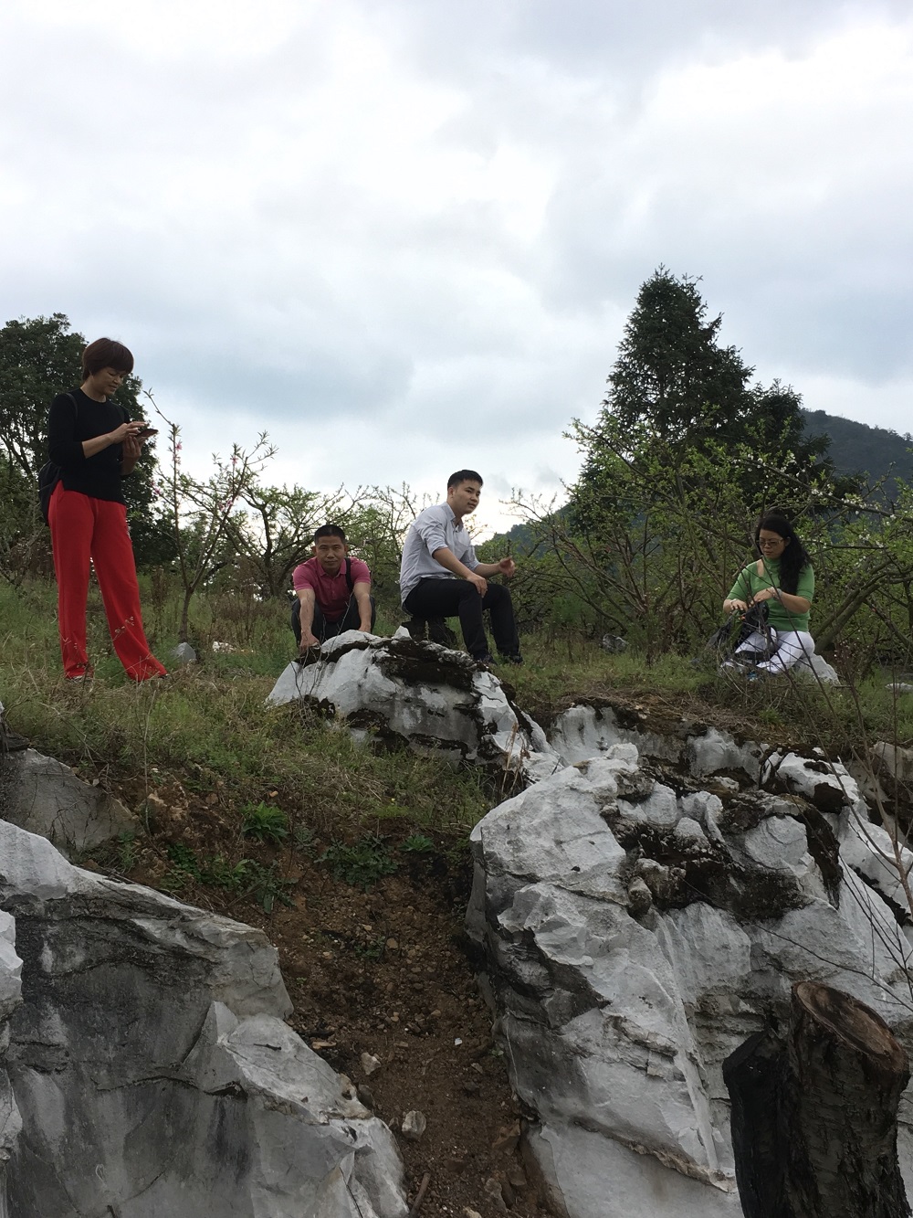 2018-03-04 143942.jpg