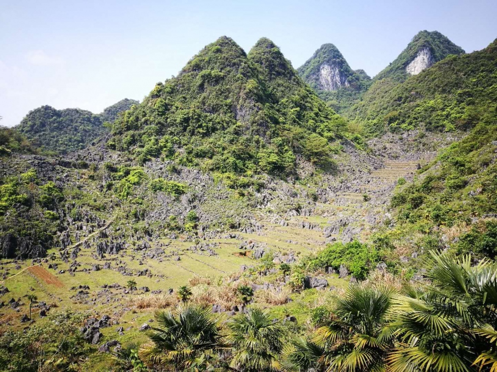 yande.re 361119 sample animal_ears bloomers g.jpeg