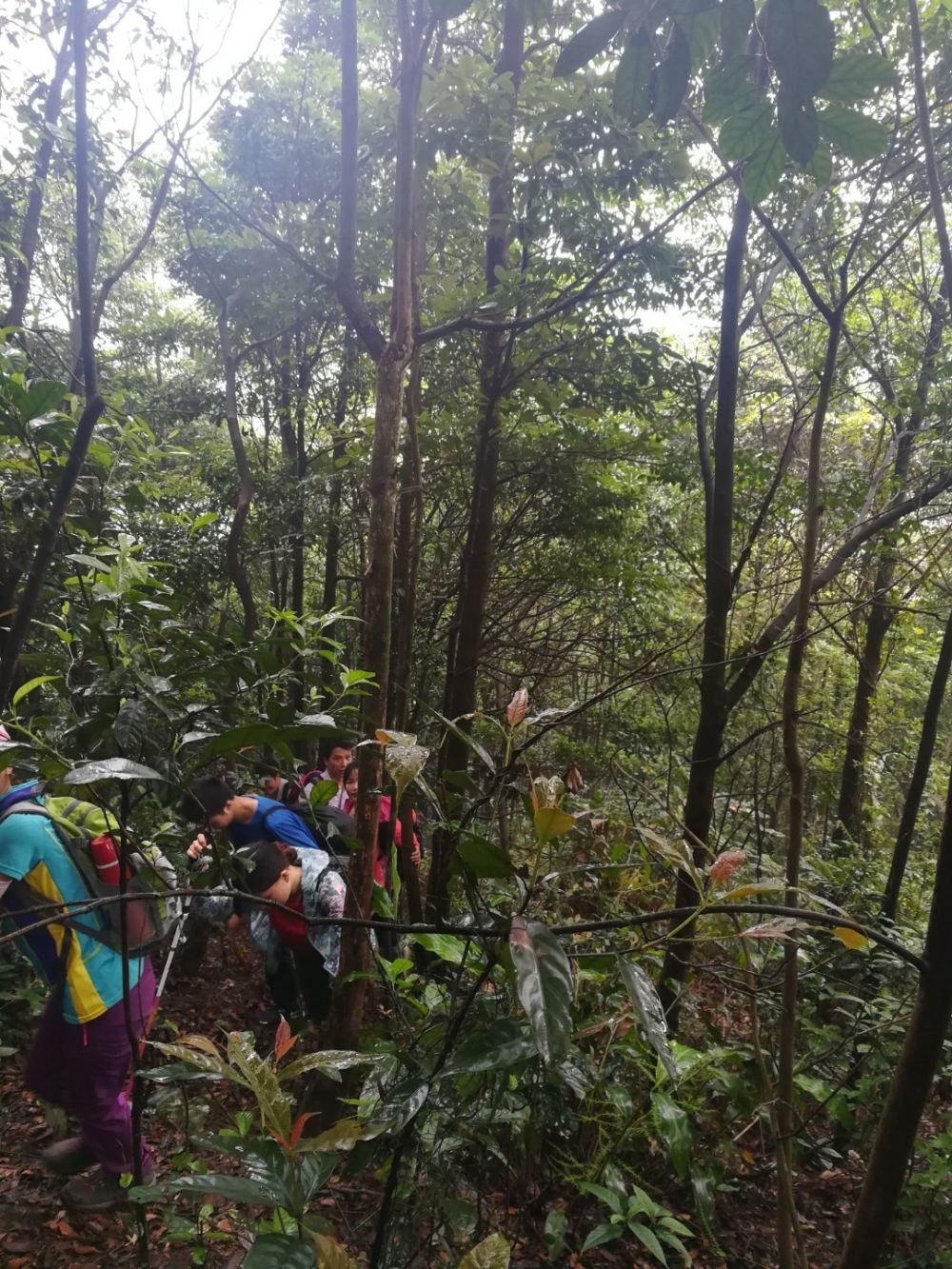 爱户外的人都爱着脚下崎岖的路，林间的鸟语花香