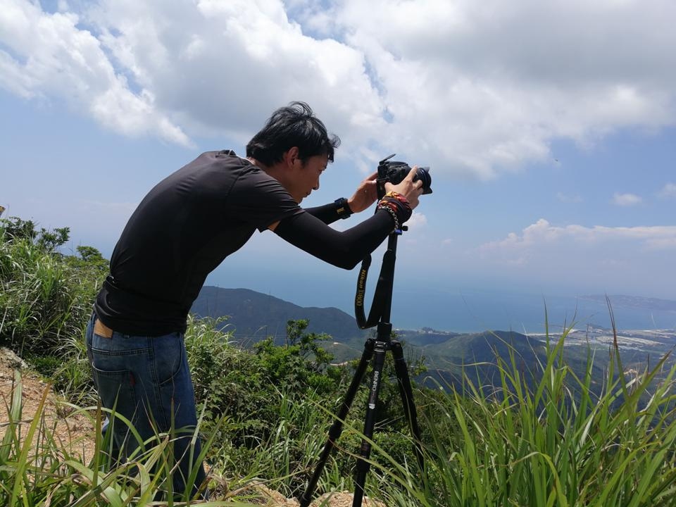 在烈日下为艺术献身的西狼