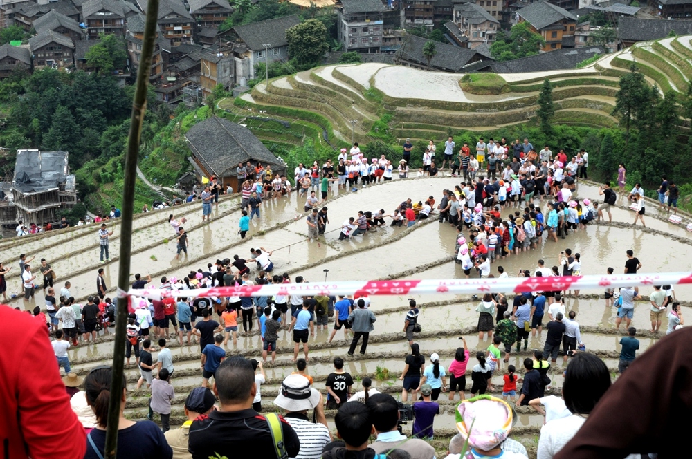 十三个寨子拨河比赛，抢夺第一, 一个寨子人数800至1000多人不等...约是自然村规模... ... ...