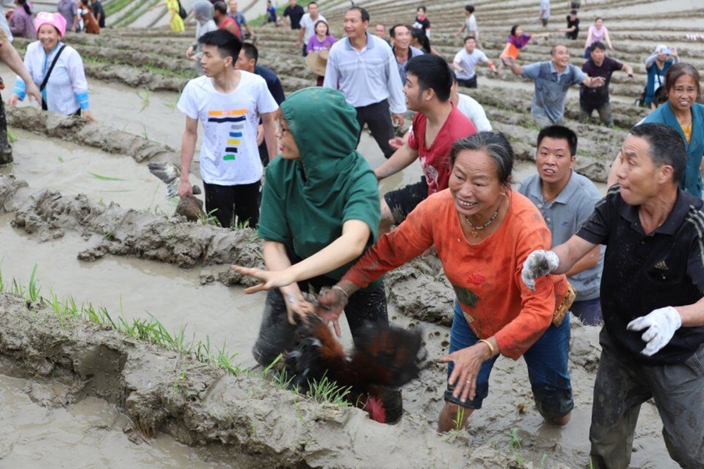 进行抓鸡摸鸭活动的游客~~~