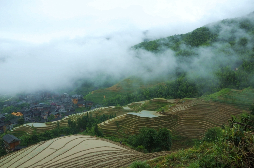 雾渐渐散去，慢慢展现出梯田和寨子的真面目，如梦似幻...