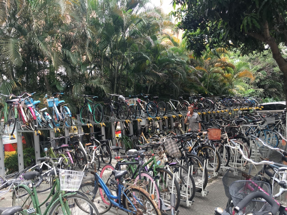 没见过世面的我，表示第一次见敞篷车是这样停的