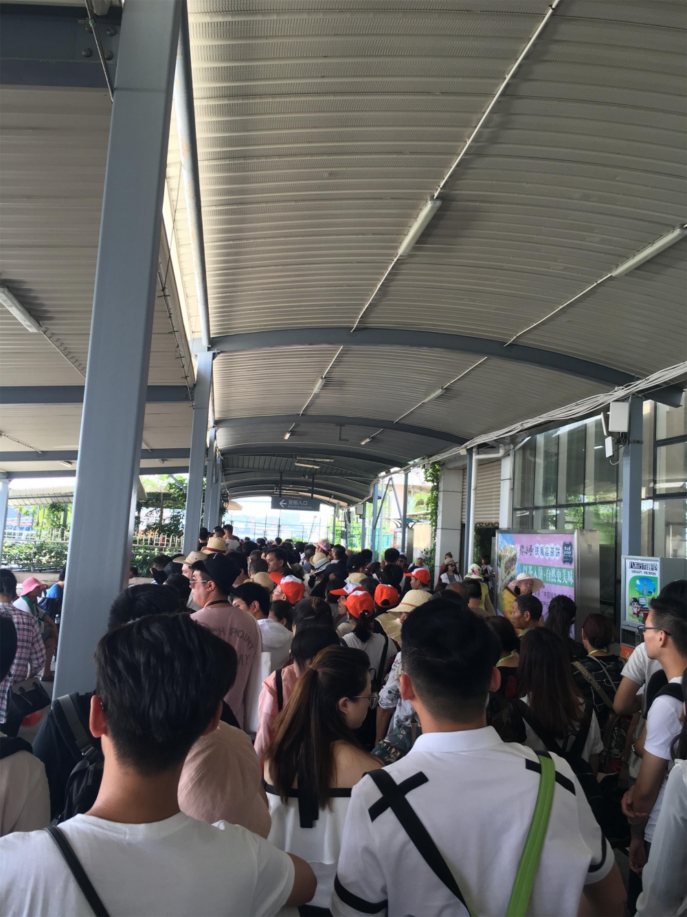 排队上船，人不是一般的多