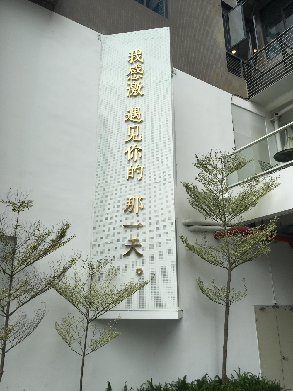 遇见你们的这两三天~