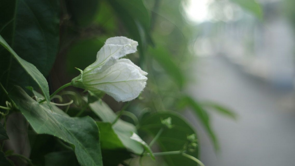 WeChat 圖片_20180612163742.jpg