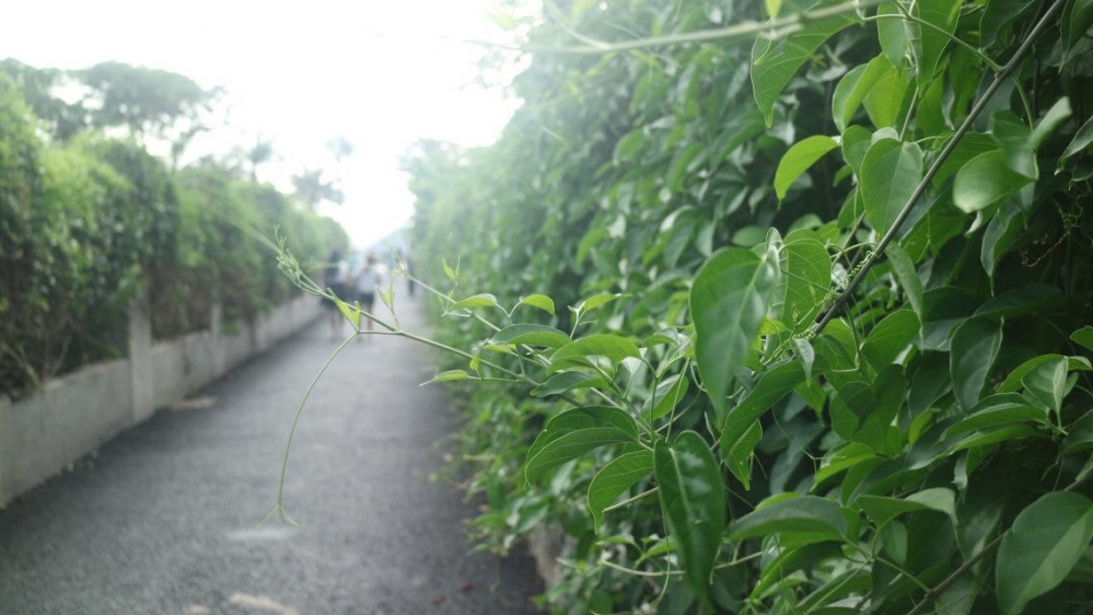 WeChat 圖片_20180612163747.jpg