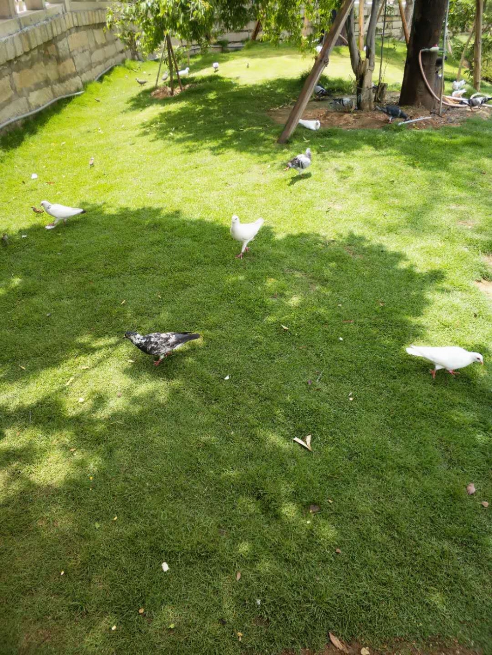 WeChat 圖片_20180612164208.jpg