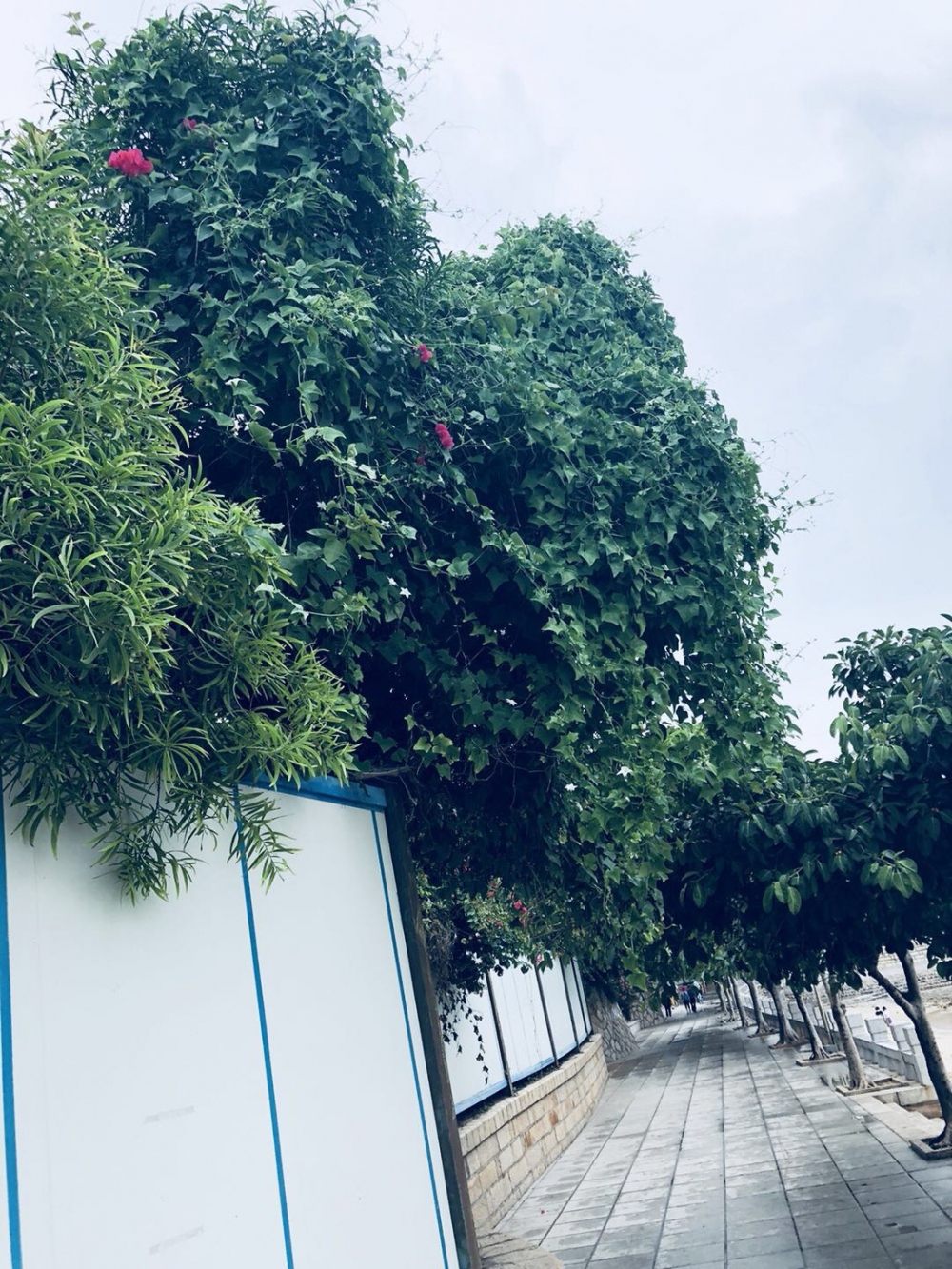 WeChat 圖片_20180612164349.jpg