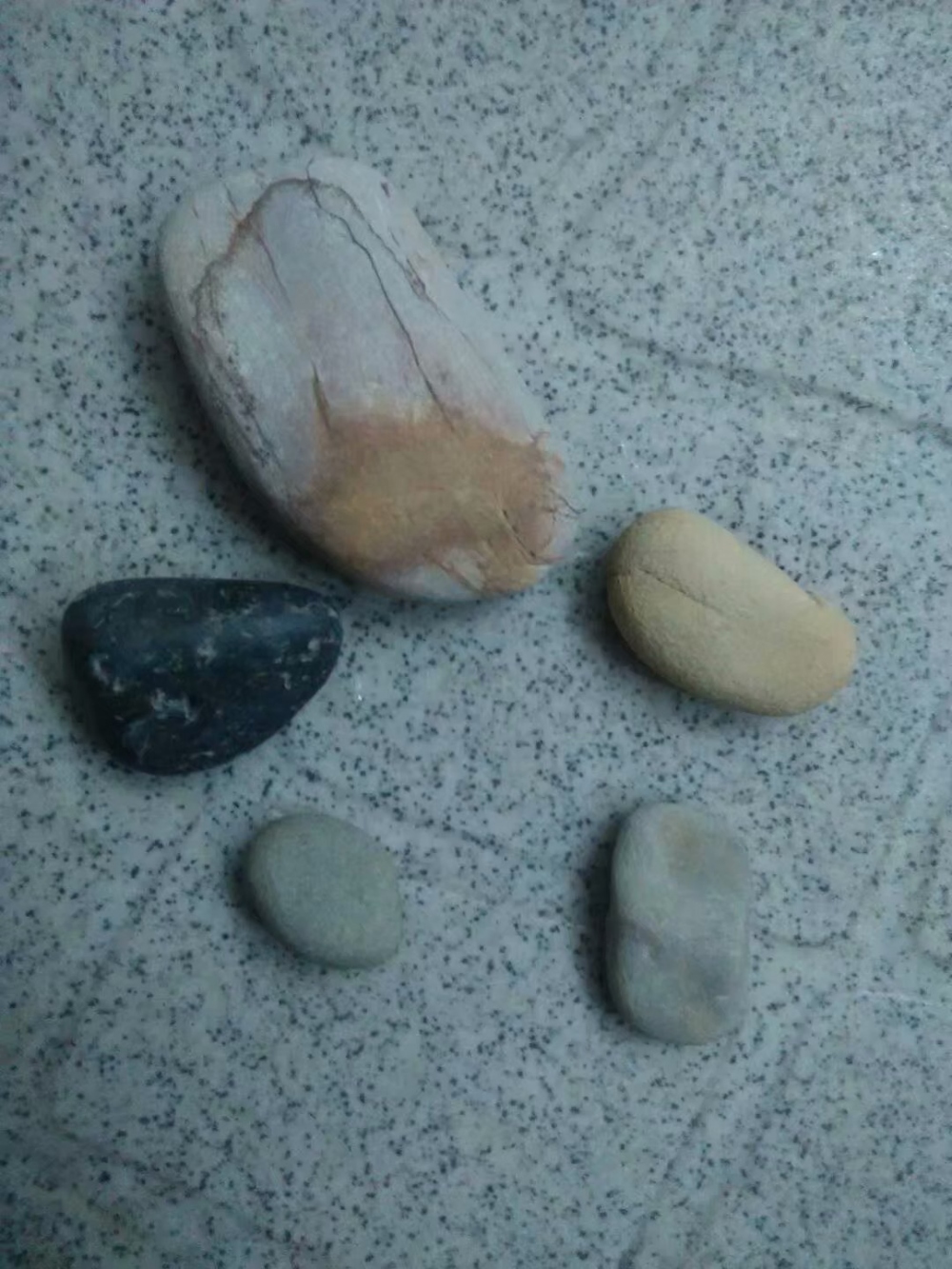 这是被我装在包里带回来的海边小石头，留作纪念，呵呵