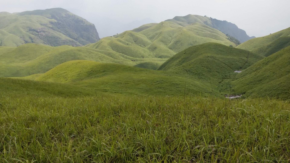 绿草坡２.jpg