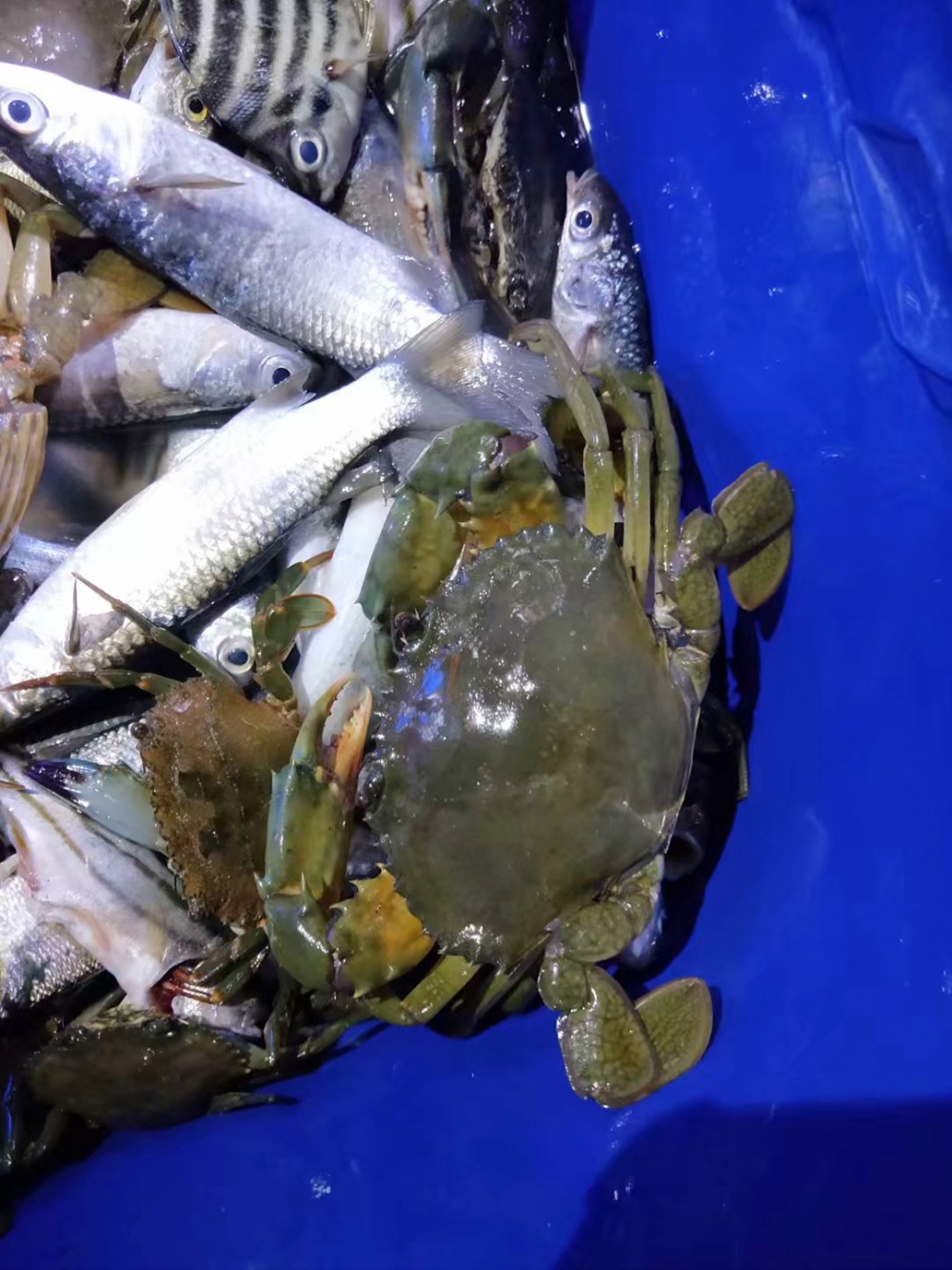 WeChat 瓜_20180807111152.jpg