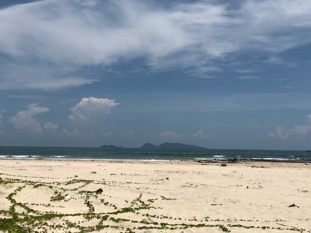 WeChat 瓜_20180807111251.jpg