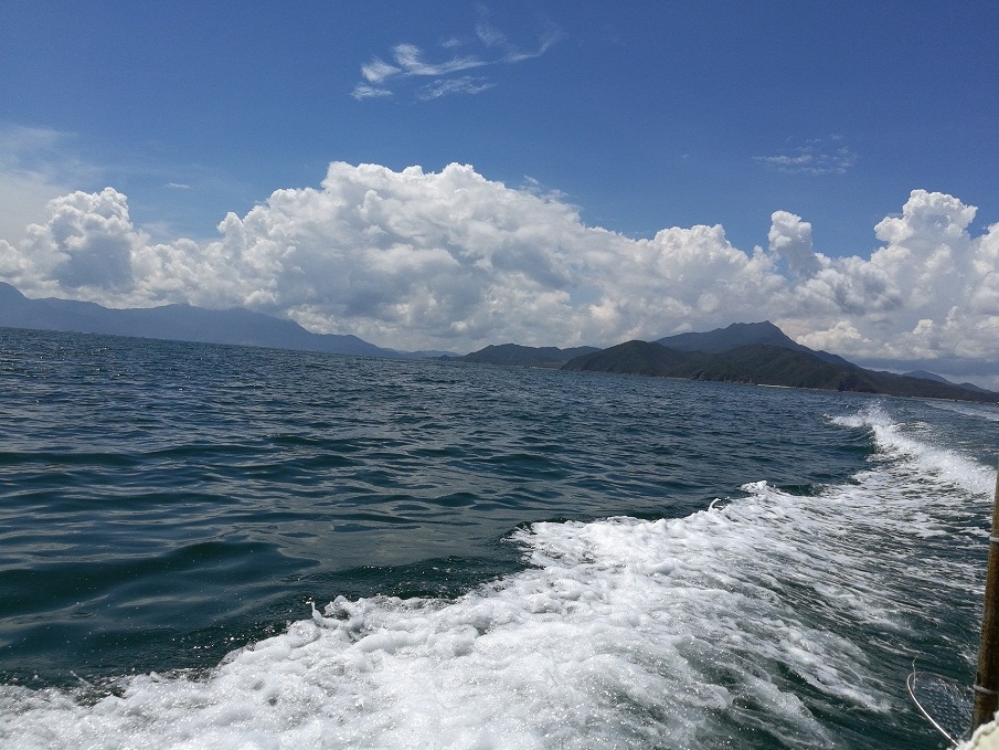 浪花白云一朵朵