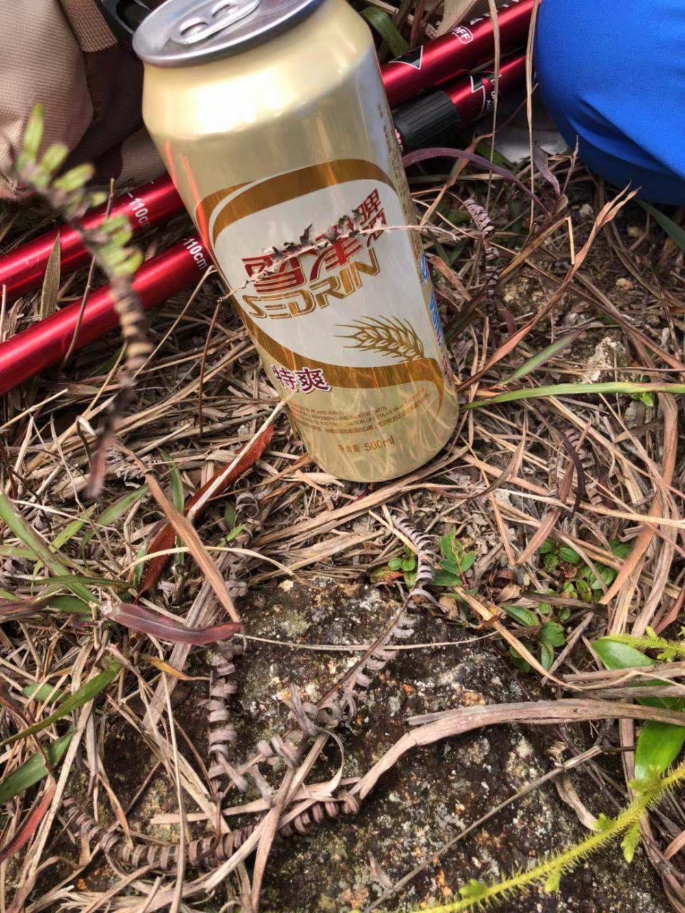 WeChat 圖片_20181105151908.jpg