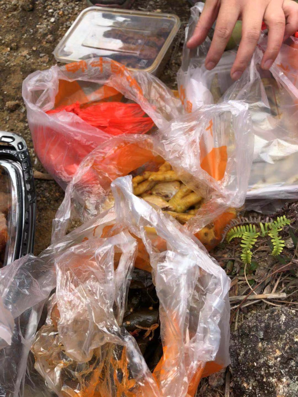 WeChat 圖片_20181105151915.jpg