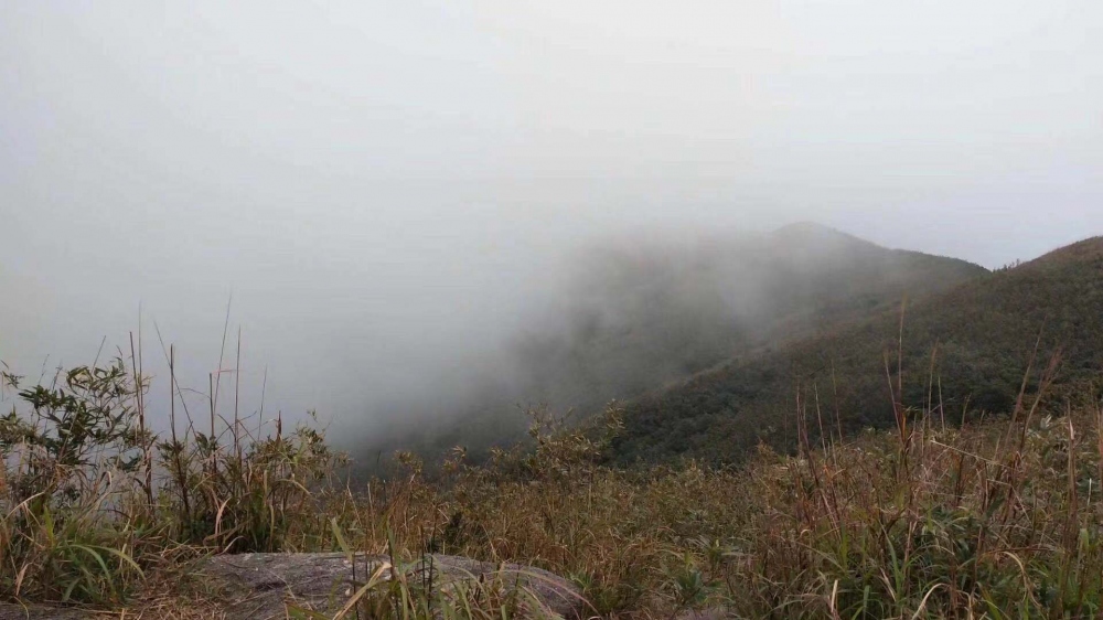 WeChat 圖片_20181105151940.jpg