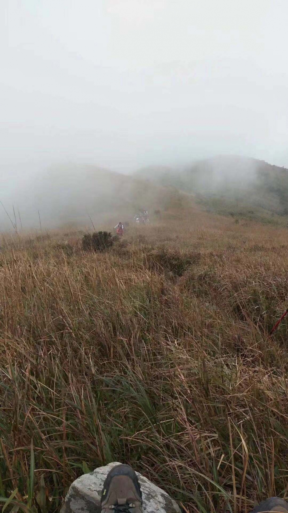 WeChat 圖片_20181105151944.jpg