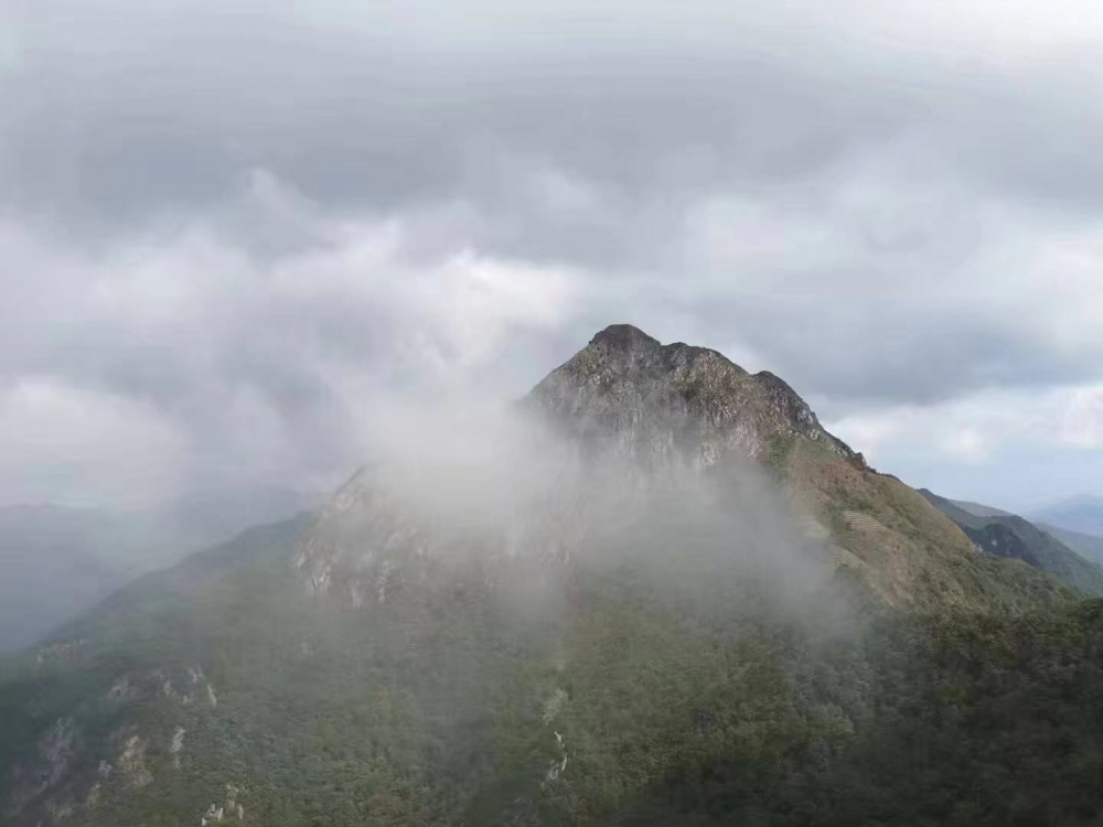 WeChat 圖片_20181114113849.jpg