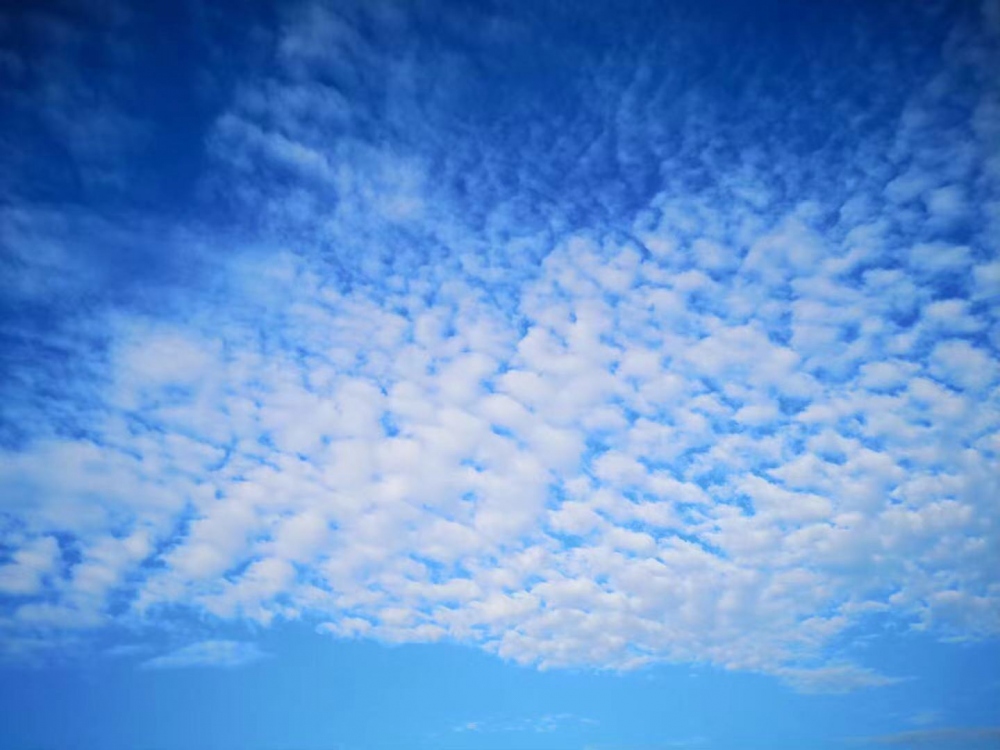 WeChat 圖片_20181114114003.jpg