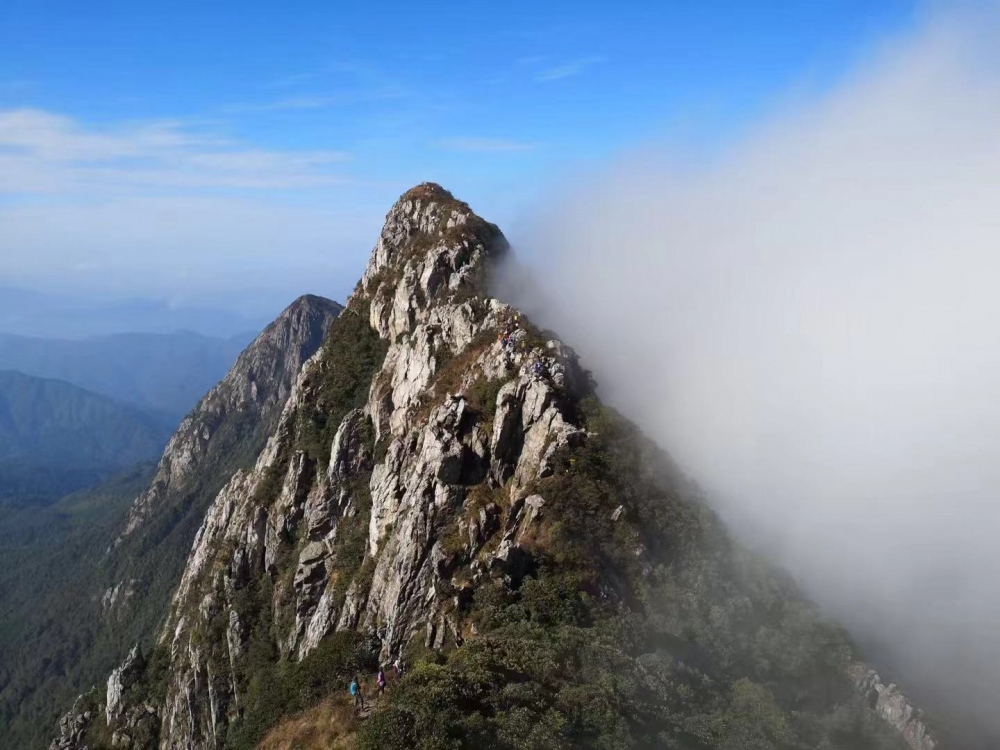 WeChat 圖片_20181114113955.jpg