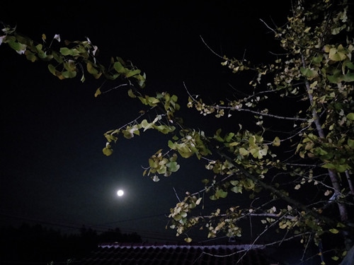 IMG20181124195652 - 副本.jpg