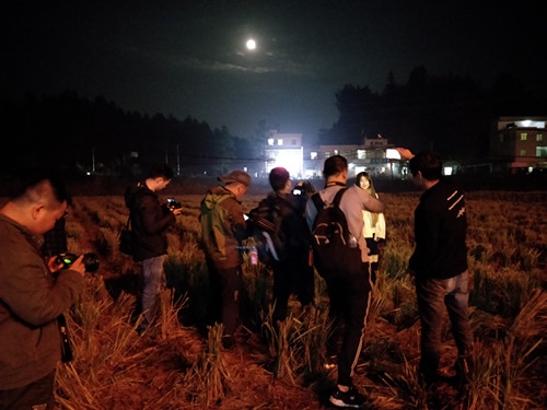 IMG20181124200511 - 副本 - 副本 - 副本.jpg